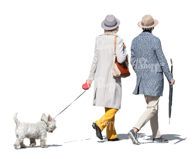 cut out elderly couple with a dog walking on a sunny spring day