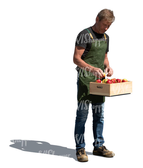 cut out man selling apples on the market