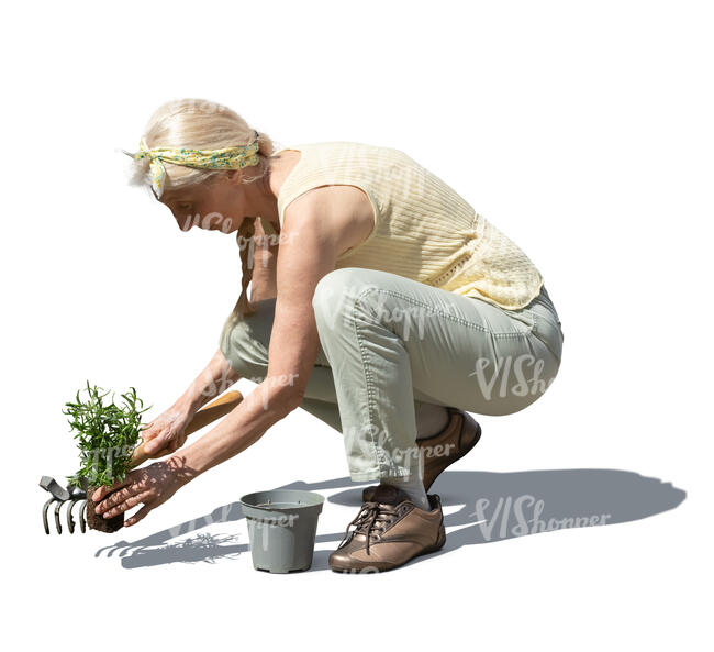 cut out elderly lady planting in the garden