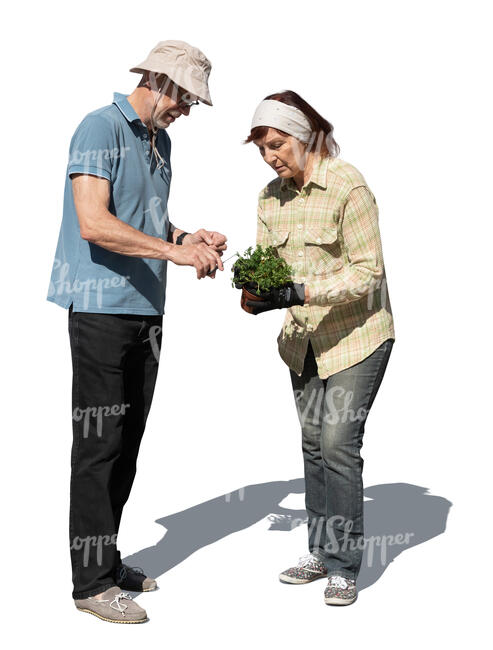 two cut out older people working with garden plants