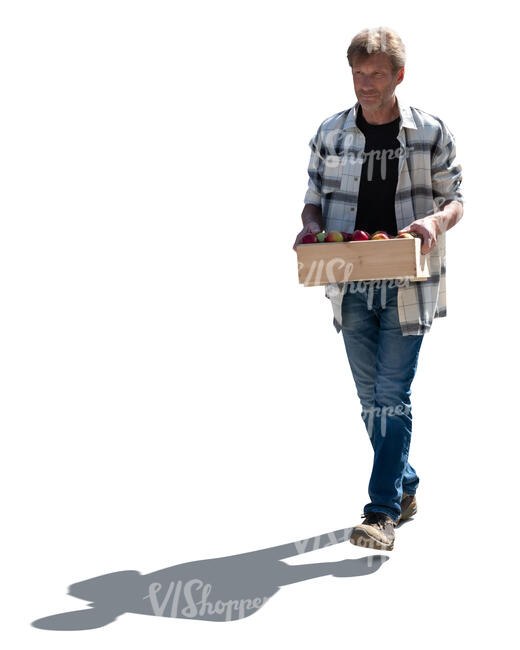 cut out backlit man carrying a crate of apples