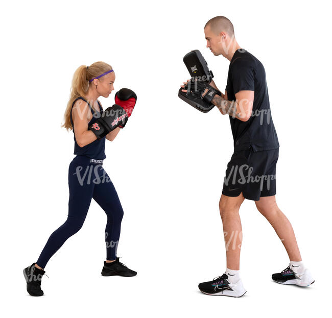 cut out woman doing a boxing workout