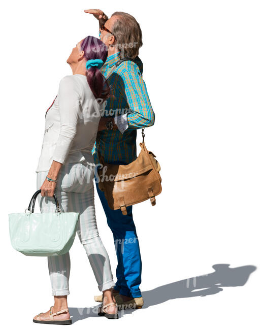 elderly couple standing and looking smth on a sunny day