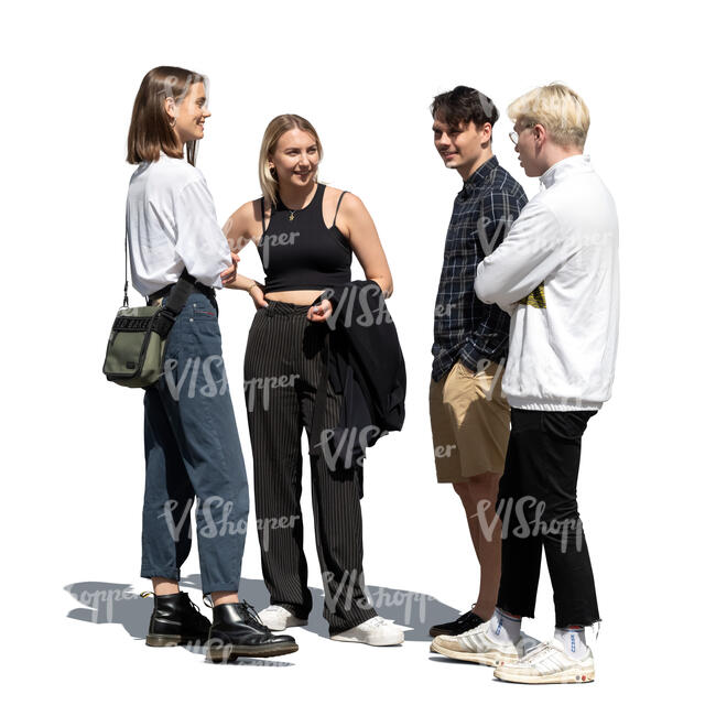 cut out group of four young people standing and talking