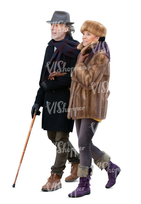 cut out elegant elderly couple in winter walking