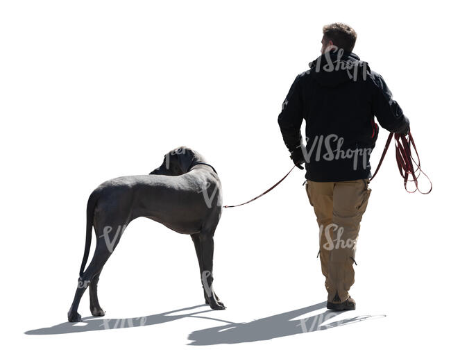 cut out backlit man walking a big dog