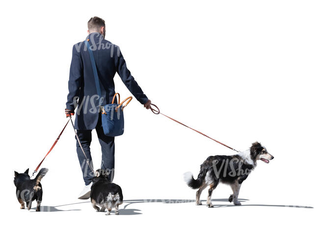 cut out man with three dogs walking