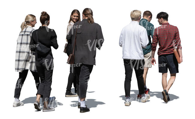 cut out group of young friends walking on the street