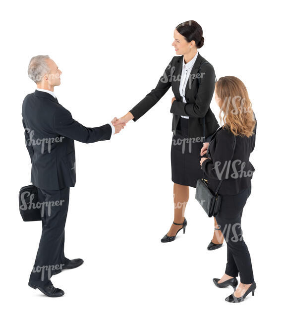 cut out group of business people standing and shaking hands