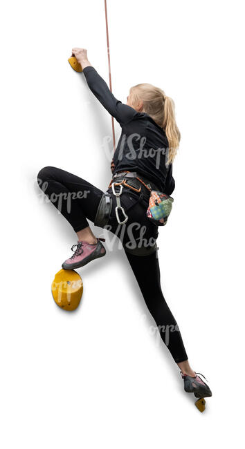 cut out woman rock climbing on a climbing wall