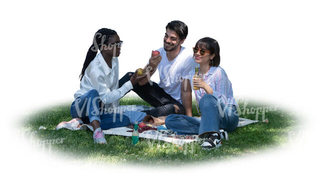 cut out group of friends having a picnic in park in tree shade