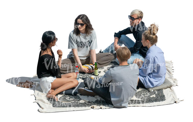 cut out group of young people having a picnic seen from above