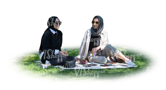 two cut out muslim women sitting in tree shade on the grass