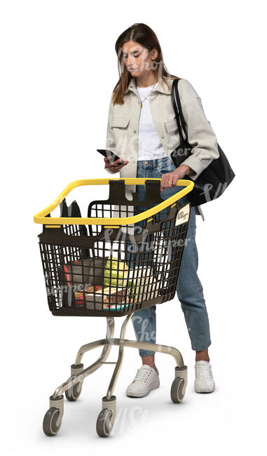 cut out woman with a shopping cart shopping groceries