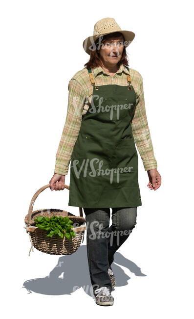 cut out senior woman in a garden carrying a basket full of greens