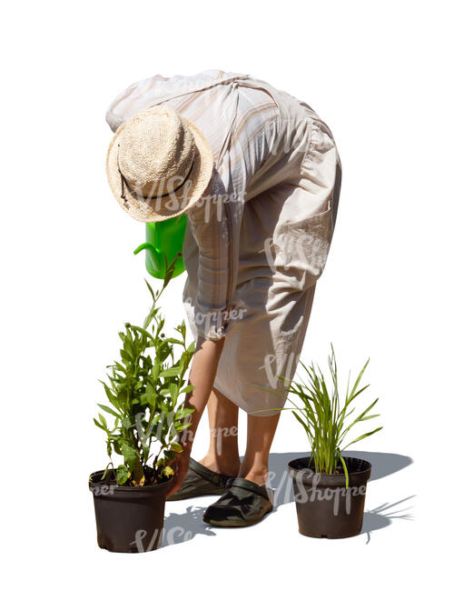 woman preparing to plant flowers in the garden