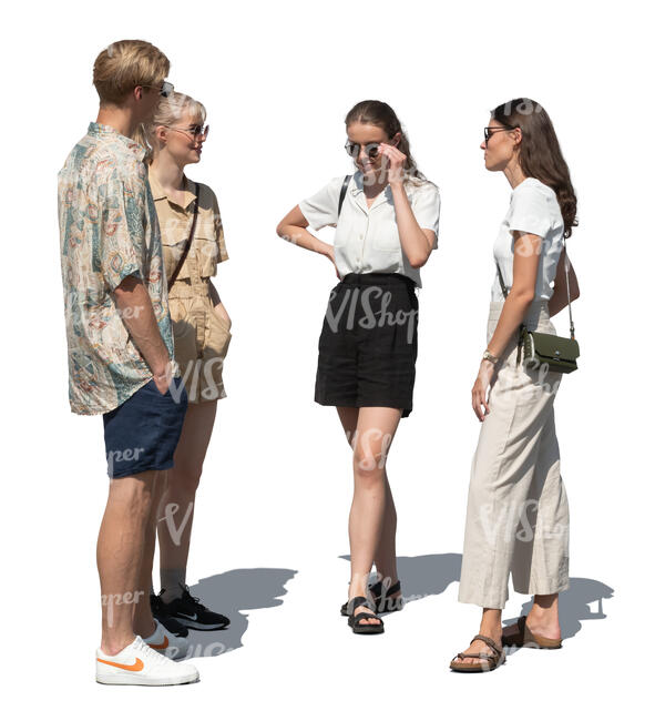 group of four people in summer standing and talking