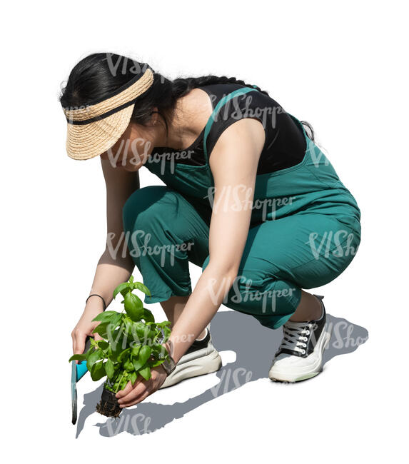 cut out asian woman planting plants in the garden