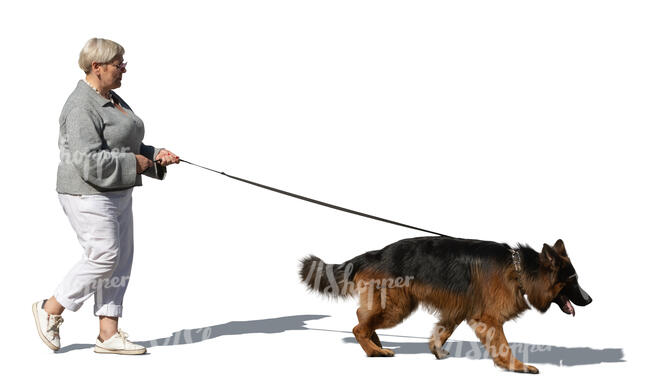 older woman walking a dog