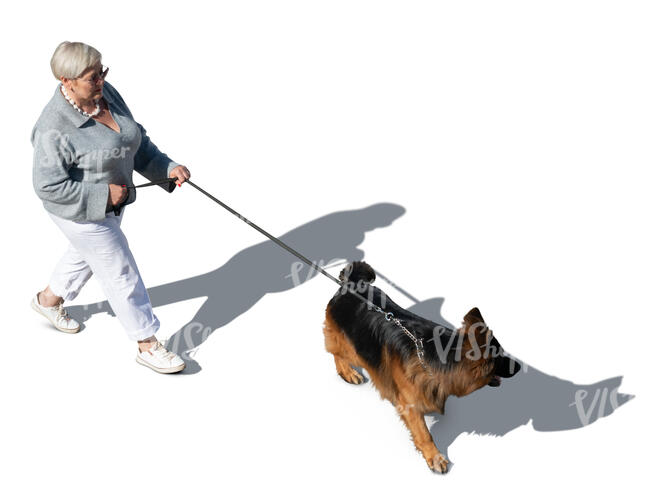 woman walking her dog seen from above