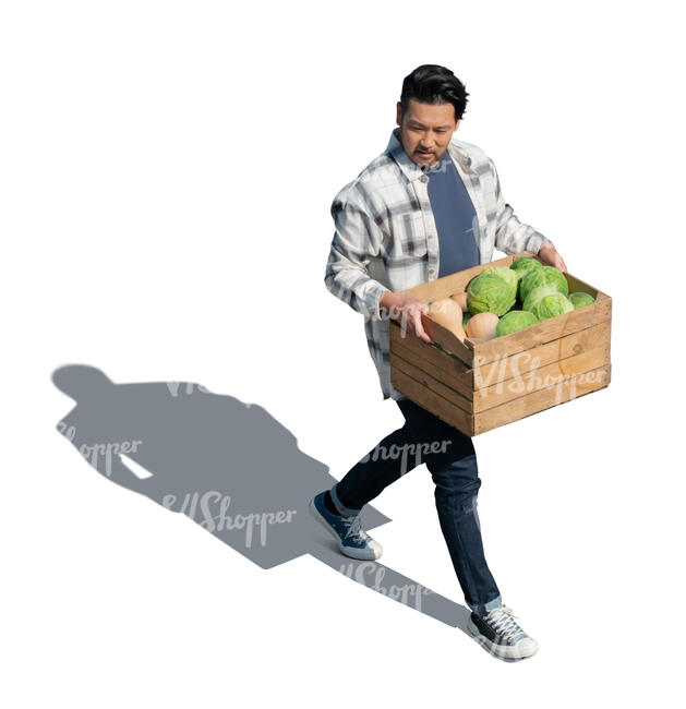 man carrying a big crate of vegetables seen from above