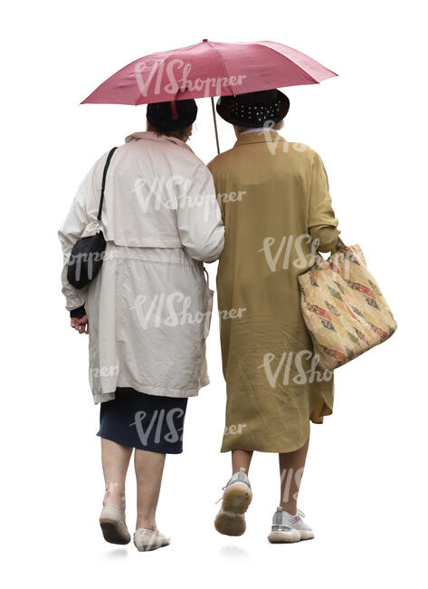 two eldery women with an umbrella walking arm in arm