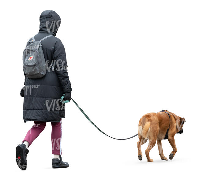 woman in a hooded jacket walking a dog