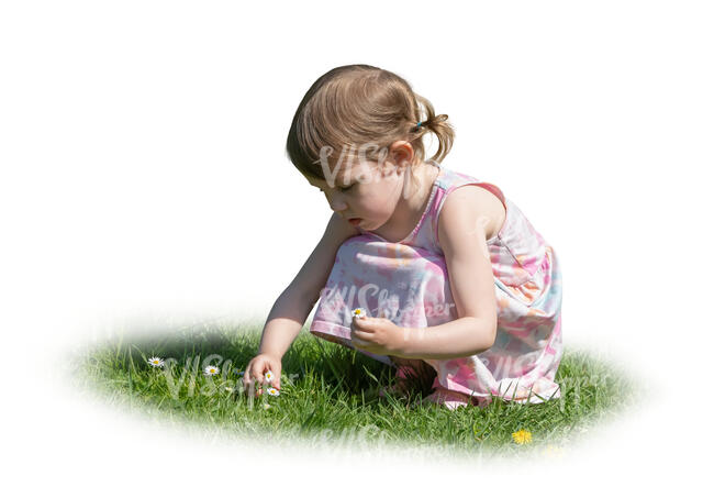 little girl picing flowers