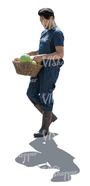 backlit man carrying a basket full of vegetables