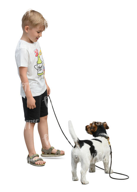 little boy with a dog standing