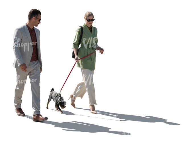 backlit elegant man and woman walking with a dog