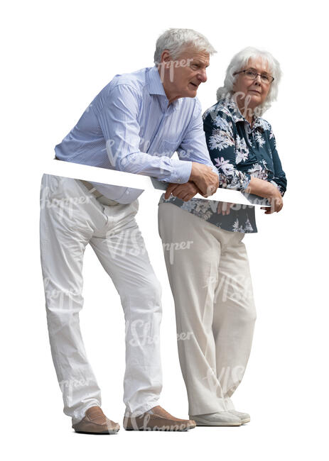 two elderly people standing up on a balcony and leaning on a railing