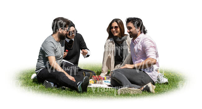 group of young people having a picnic