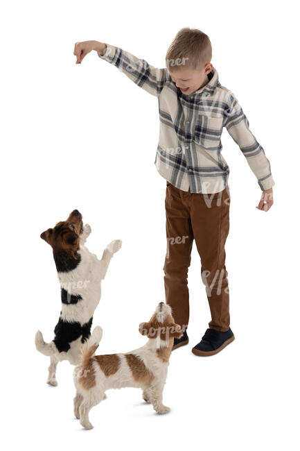 cut out little boy playing with dogs seen from above
