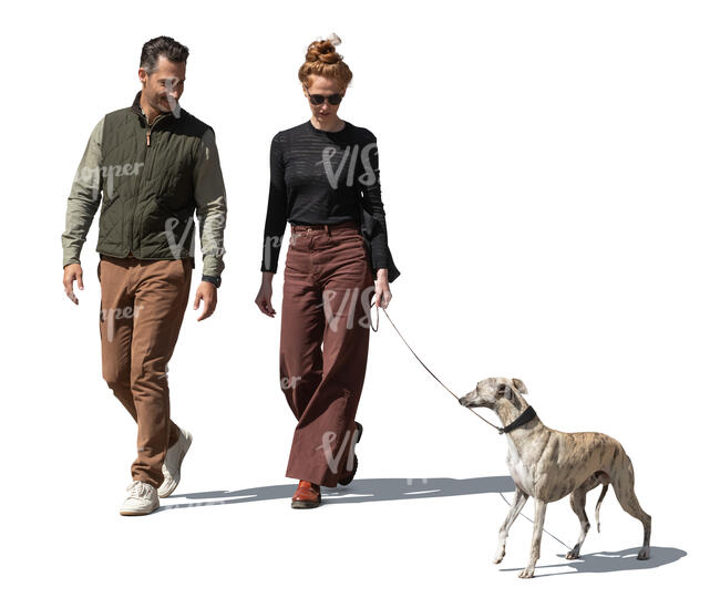 man and woman walking a dog