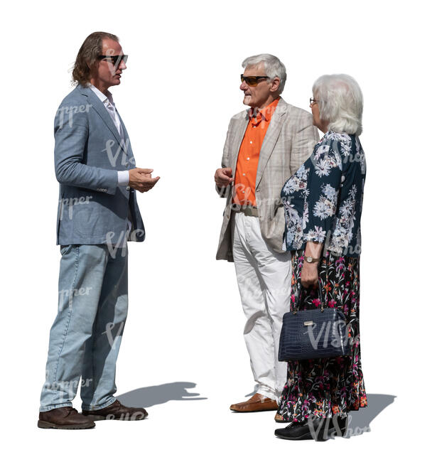 cut out group of senior people standing and talking