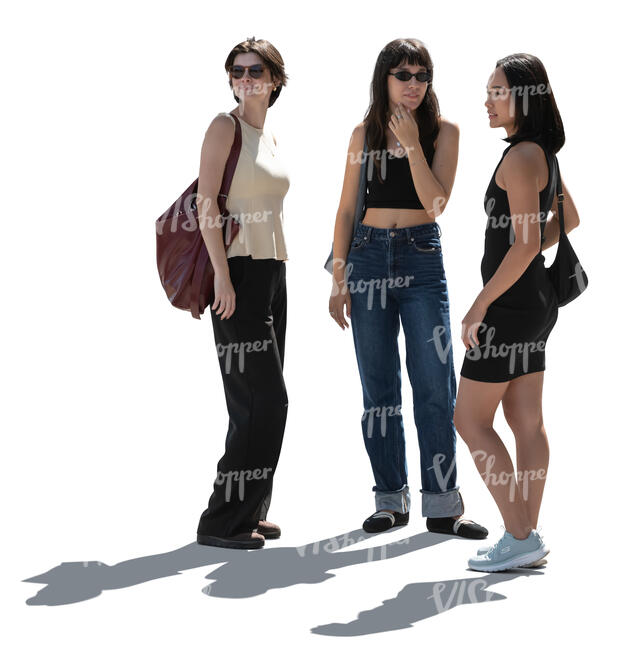 cut out backlit group of women standing and talking