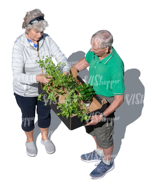 top view of two retired people with plants working in the garden