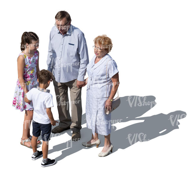 top view of grandparents and grandchildren standing