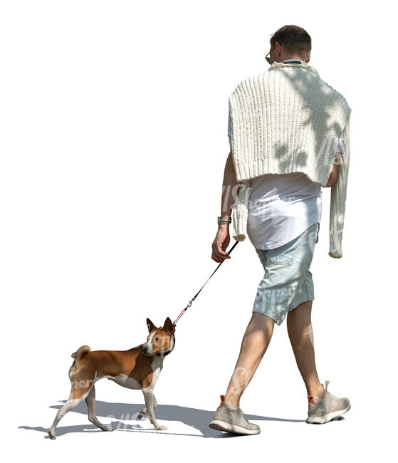 man walking a dog in tree shade