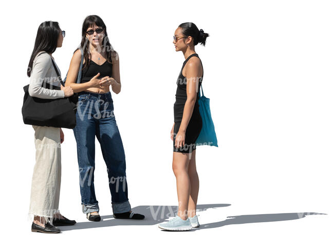 cut out group of women standing and talking