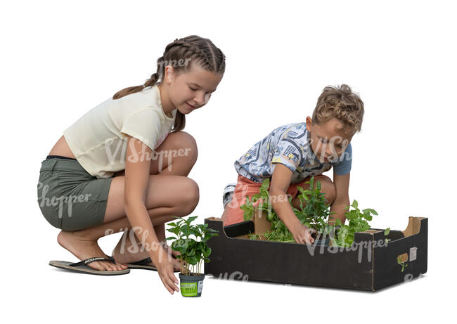 two children preparing to plant plants