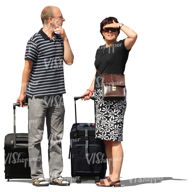 couple with suitcases standing and looking