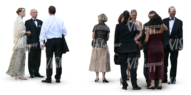 group of people attending a formal event