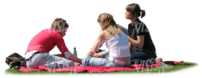 three people having a picnic