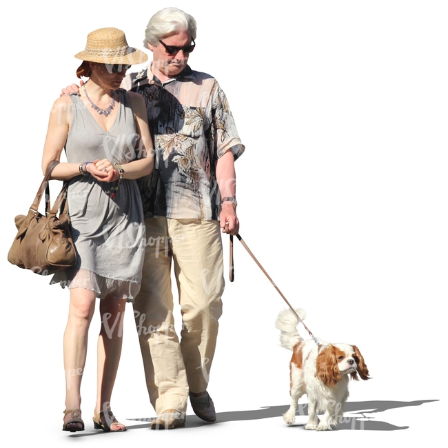 elderly couple walking a dog