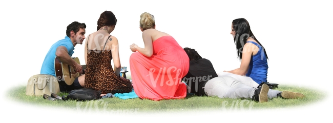 group of people having a picnic and playing guitar