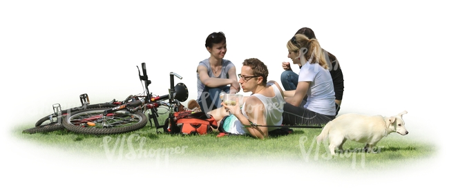 group of four people with bicycles and a dog having a picnic