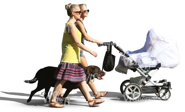 two women and a dog walking with a baby carriage