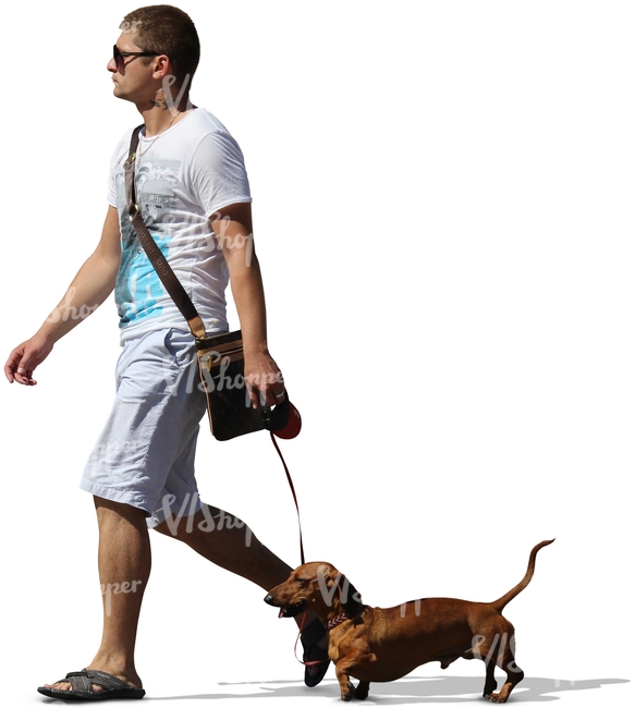 man in white shorts walking a dog